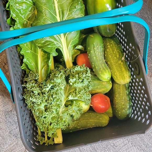 Meet your Posher, Leslie - Picture 4 of 4